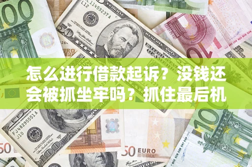 武汉怎么进行借款起诉？没钱还会被抓坐牢吗？抓住最后机会！