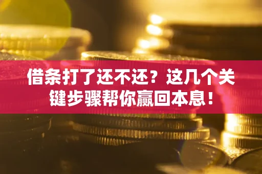 武汉借条打了还不还？这几个关键步骤帮你赢回本息！