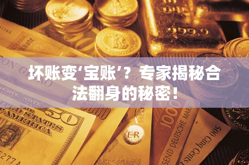 武汉坏账变‘宝账’？专家揭秘合法翻身的秘密！