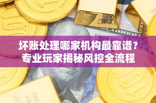 武汉坏账处理哪家机构最靠谱？专业玩家揭秘风控全流程