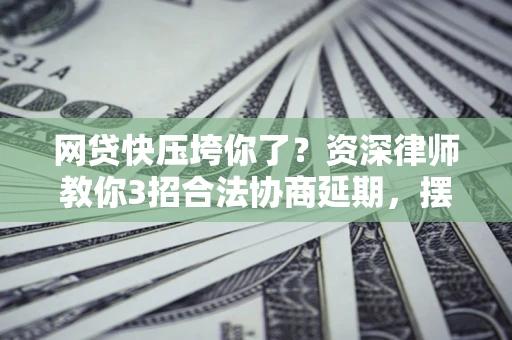 武汉网贷快压垮你了？资深律师教你3招合法协商延期，摆脱暴力催收！