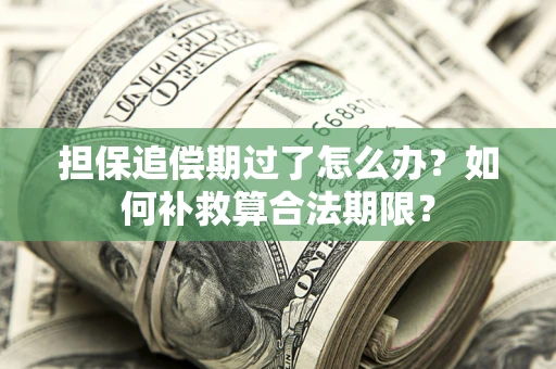 武汉担保追偿期过了怎么办？如何补救算合法期限？