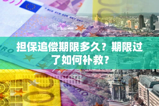 武汉担保追偿期限多久？期限过了如何补救？