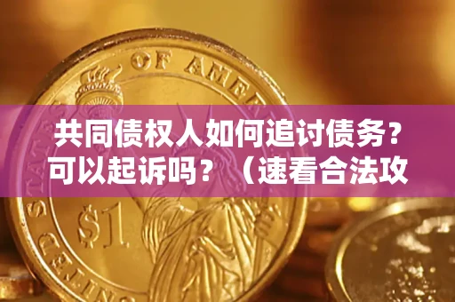 武汉共同债权人如何追讨债务？可以起诉吗？（速看合法攻略）