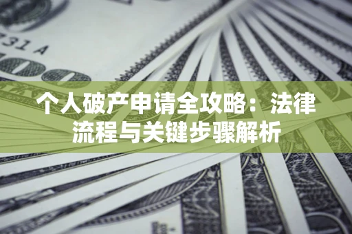 武汉个人破产申请全攻略：法律流程与关键步骤解析