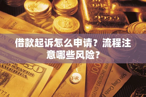 武汉借款起诉怎么申请？流程注意哪些风险？