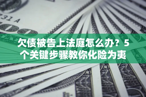 武汉欠债被告上法庭怎么办？5个关键步骤教你化险为夷